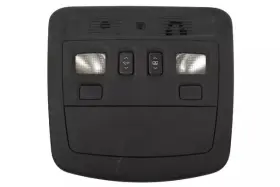 25940371 Gm Genuine Ebony Roof Console