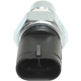 Karparts360 706189651698 For Chevy Silverado 1500/2500/3500 Back Up Light Switch 1999-2006 Ls-205