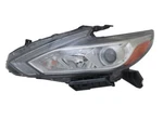 16 17 18 Nissan Altima Oem Brand New Left Headlamp Halogen Chrome P# 260609HS9A. Price: $499.00.