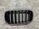 14 15 16 17 18 Bmw X5 Left Grille Upper Kidney 51137294485 Chrome Used. Price: $34.99.