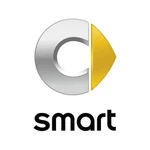 Genuine Smart Stowage Tray 253814030028 New. Price: $146.25.