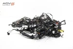 2024 Bmw X1 U11 2.0L Main Body Wire Wiring Harness Oem Used. Price: $764.99.